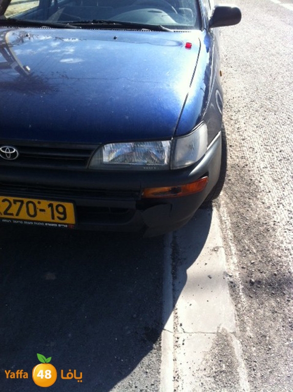 accshlafem5514 (3).jpg